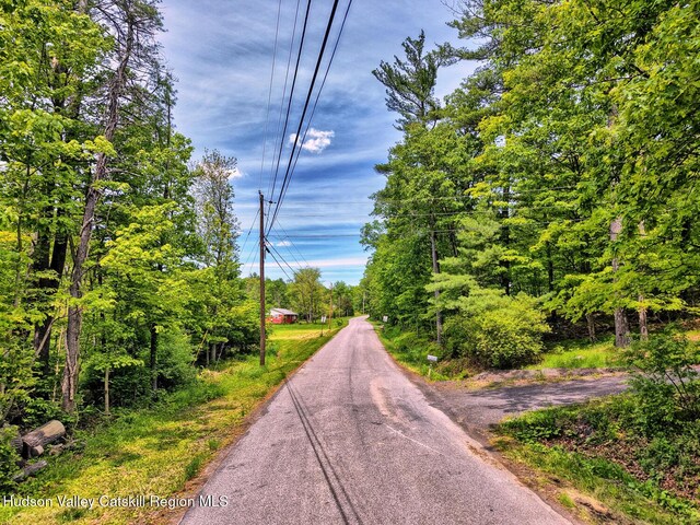 268 Potic Mountain Rd, Catskill, NY 12414