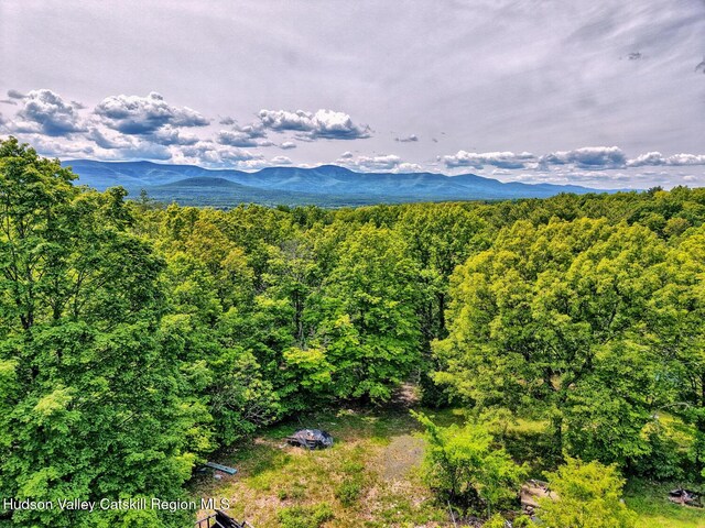 268 Potic Mountain Rd, Catskill, NY 12414