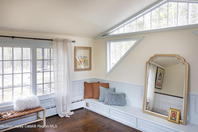 18 Striebel Rd, Woodstock, NY 12498 - living area with a decorative wall, wainscoting, dark wood-style floors, and vaulted ceiling