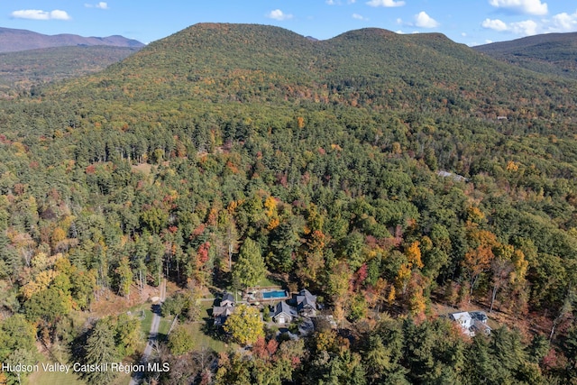 18 Striebel Rd, Woodstock, NY 12498 - drone / aerial view with a mountain view and a view of trees