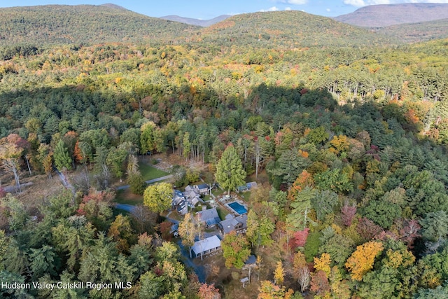 18 Striebel Rd, Woodstock, NY 12498 - bird's eye view featuring a wooded view and a mountain view