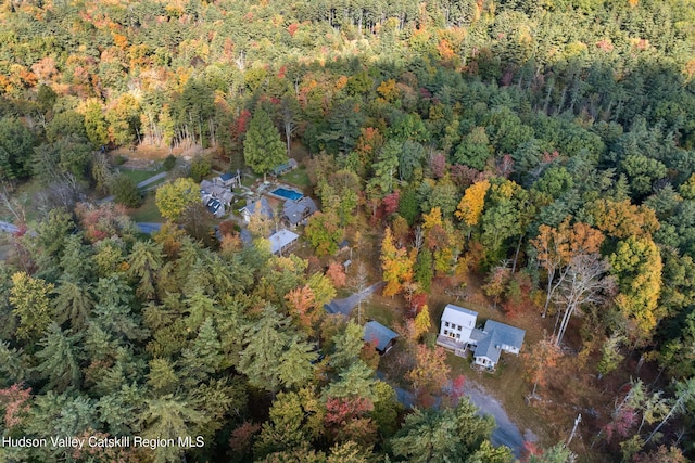 18 Striebel Rd, Woodstock, NY 12498 - birds eye view of property with a wooded view