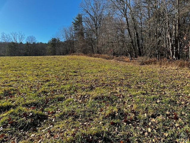 0 County Route 21, Hillsdale, NY 12529 - photo 3
