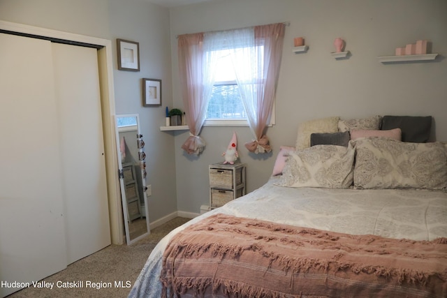 bedroom featuring carpet and a closet