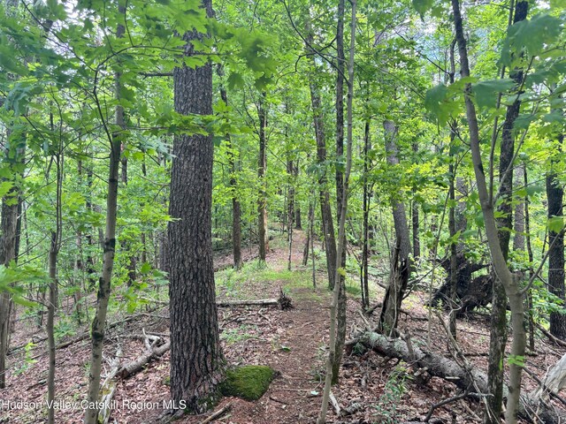 390 Churchland Rd Rd, Saugerties, NY 12477 - photo 13