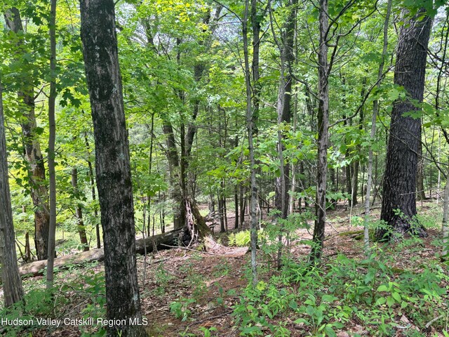 390 Churchland Rd Rd, Saugerties, NY 12477 - photo 9