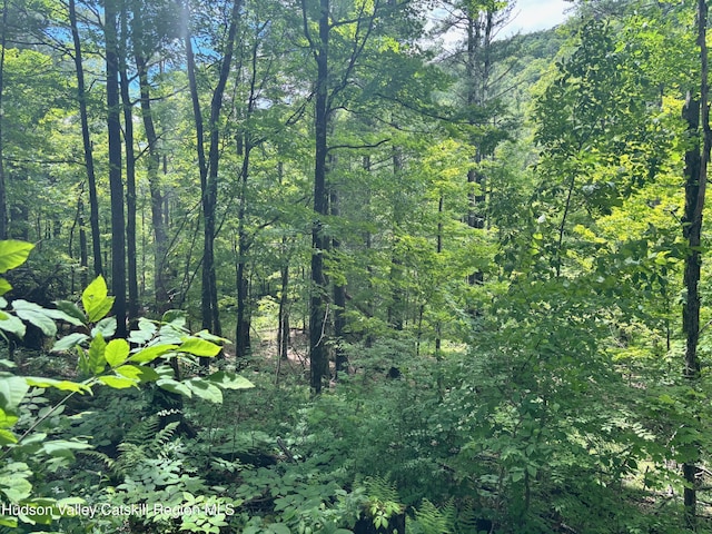 390 Churchland Rd Rd, Saugerties, NY 12477 - photo 6