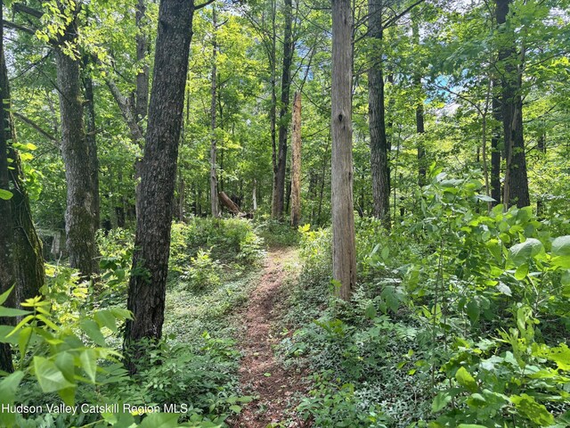 390 Churchland Rd Rd, Saugerties, NY 12477 - photo 5