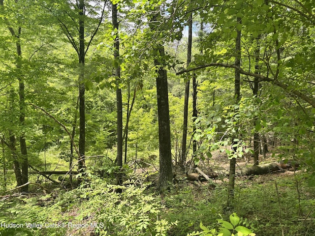 390 Churchland Rd Rd, Saugerties, NY 12477 - photo 7