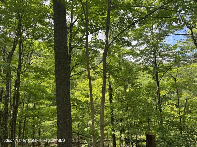 390 Churchland Rd Rd, Saugerties, NY 12477 - photo 12