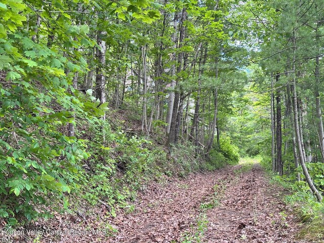 390 Churchland Rd Rd, Saugerties, NY 12477 - photo 3