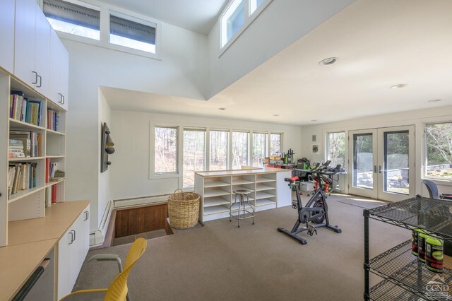 5015 Crow Hill Rd, Austerlitz, NY 12165 - exercise area with carpet flooring, french doors, a baseboard radiator, and recessed lighting
