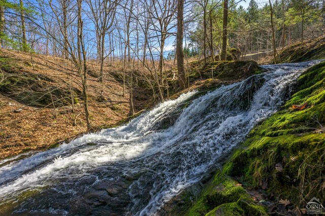 5015 Crow Hill Rd, Austerlitz, NY 12165 - view of local wilderness