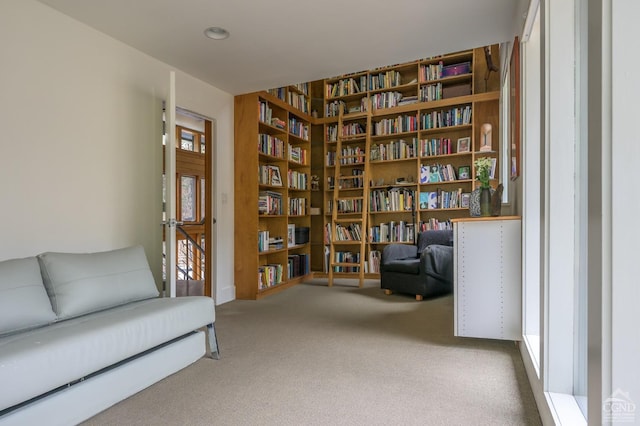 5015 Crow Hill Rd, Austerlitz, NY 12165 - sitting room with carpet flooring and recessed lighting