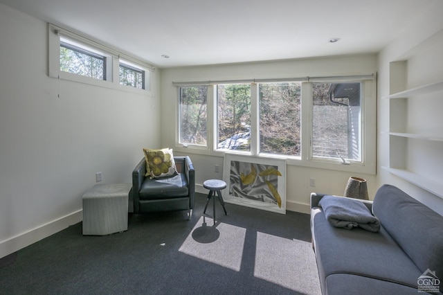 5015 Crow Hill Rd, Austerlitz, NY 12165 - living area with baseboards and carpet floors