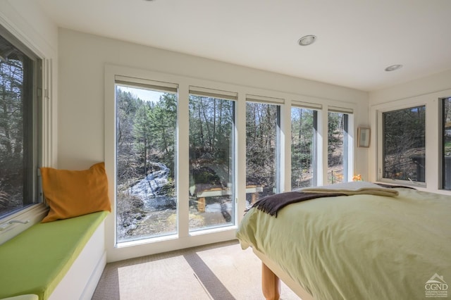 5015 Crow Hill Rd, Austerlitz, NY 12165 - bedroom featuring carpet and recessed lighting