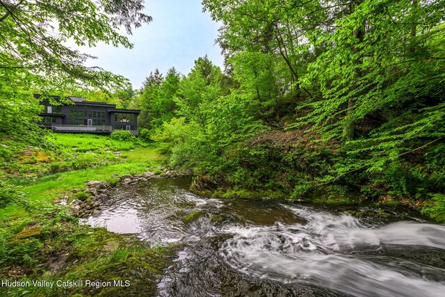 5015 Crow Hill Rd, Austerlitz, NY 12165 - view of yard featuring a forest view