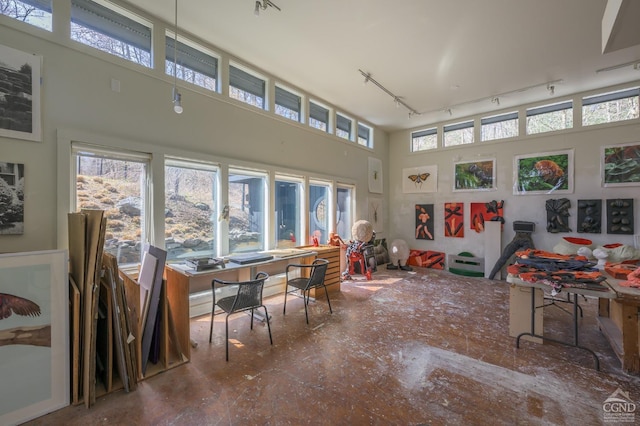 5015 Crow Hill Rd, Austerlitz, NY 12165 - sunroom with track lighting