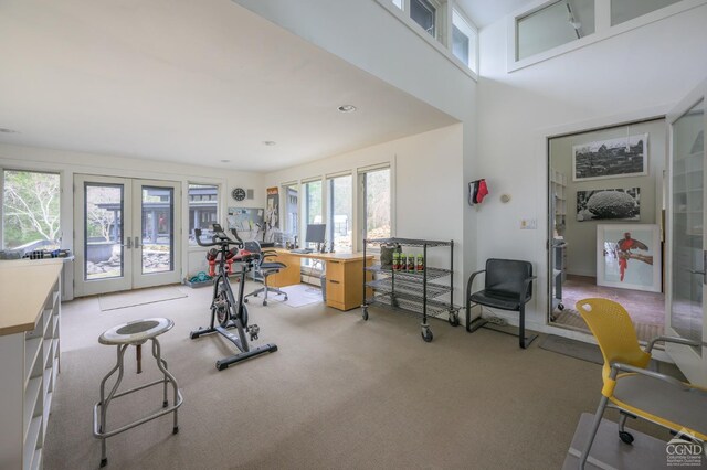 5015 Crow Hill Rd, Austerlitz, NY 12165 - exercise room with french doors and light carpet