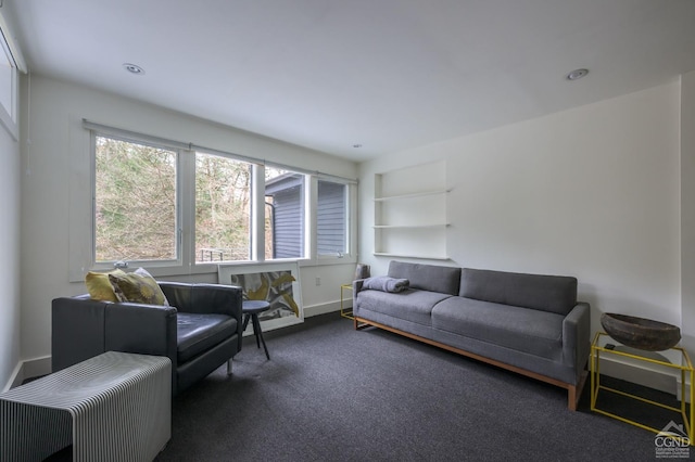 5015 Crow Hill Rd, Austerlitz, NY 12165 - carpeted living area with built in shelves, baseboards, and recessed lighting