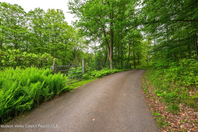 5015 Crow Hill Rd, Austerlitz, NY 12165 - view of asphalt road with a wooded view