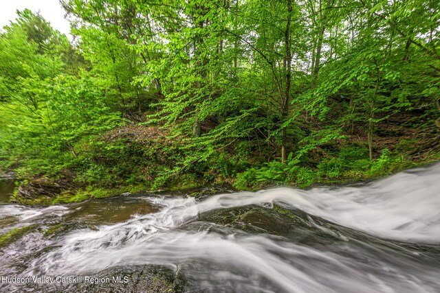 5015 Crow Hill Rd, Austerlitz, NY 12165 - view of wooded area
