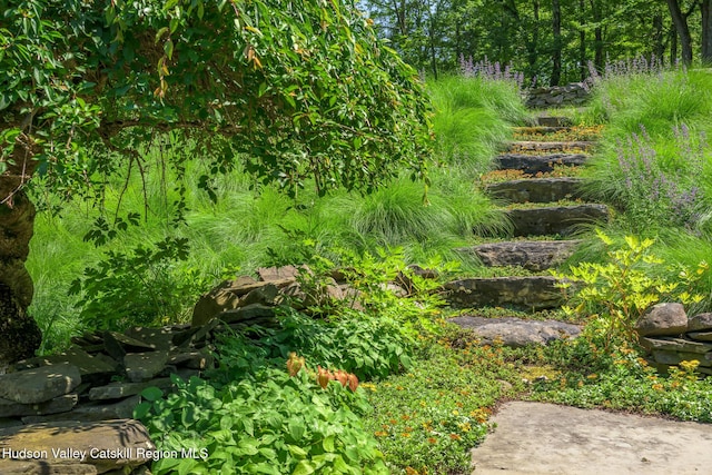 5015 Crow Hill Rd, Austerlitz, NY 12165 - view of yard