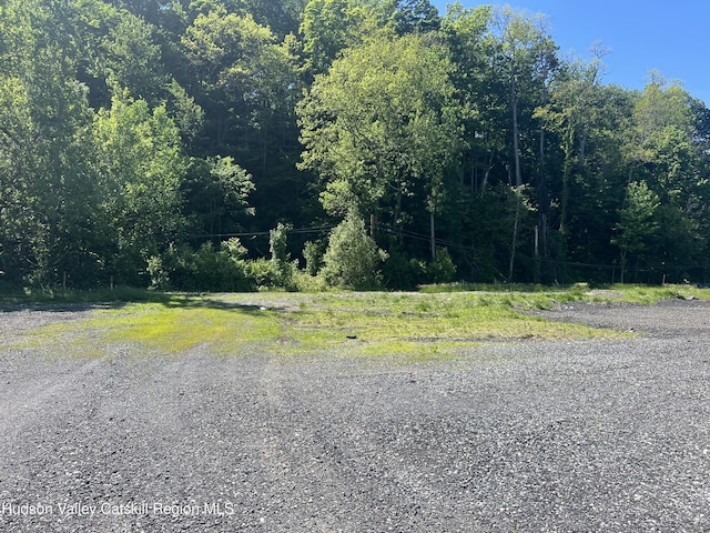 990 Flatbush Rd, Kingston, NY 12401 - photo 2