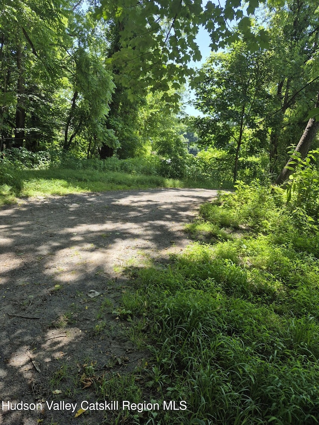 18 Schoonmaker St, Kingston, NY 12401 - photo 2