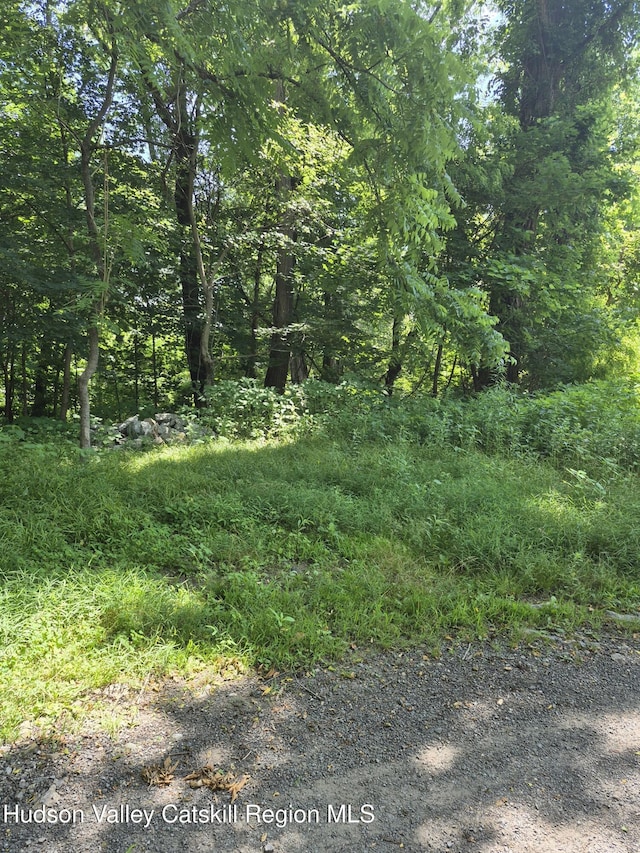 18 Schoonmaker St, Kingston, NY 12401 - photo 3