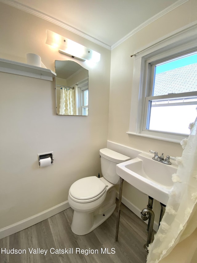 bathroom featuring toilet, wood-type flooring, and crown molding