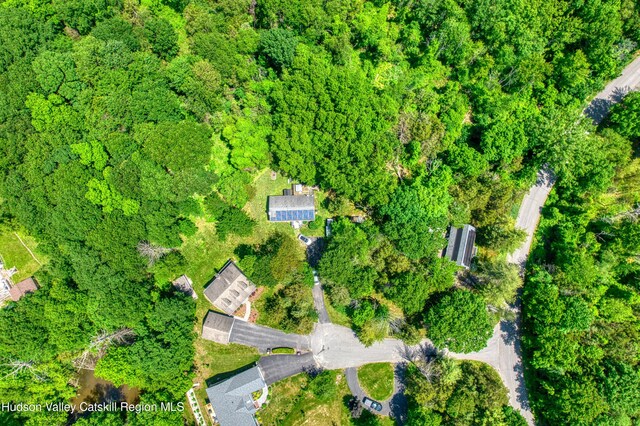 18 Mystery Ct, Athens, NY 12015 - photo 29
