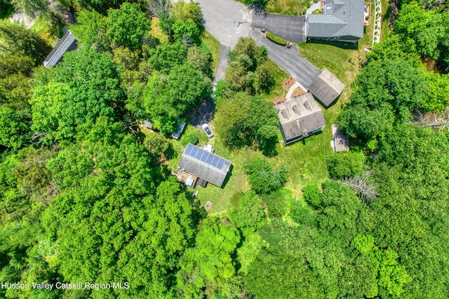 18 Mystery Ct, Athens, NY 12015 - photo 26