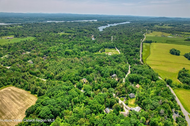 18 Mystery Ct, Athens, NY 12015 - photo 28