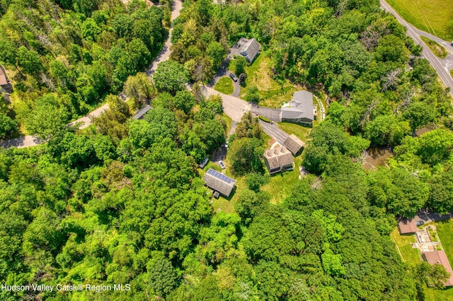18 Mystery Ct, Athens, NY 12015 - photo 30