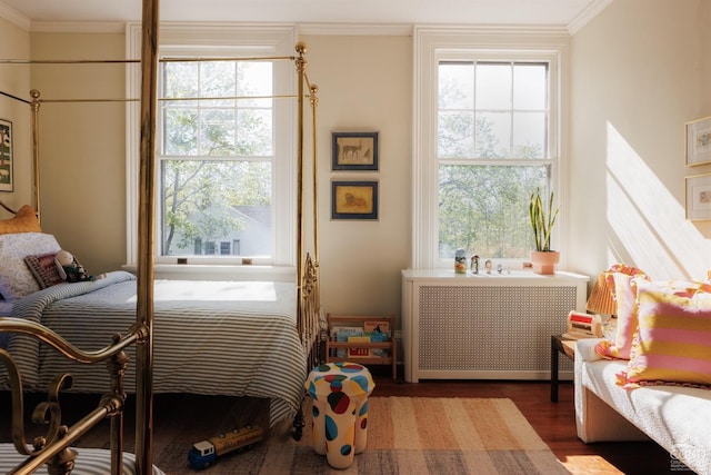 152 William St, Catskill, NY 12414 - bedroom with wood finished floors, crown molding, and radiator