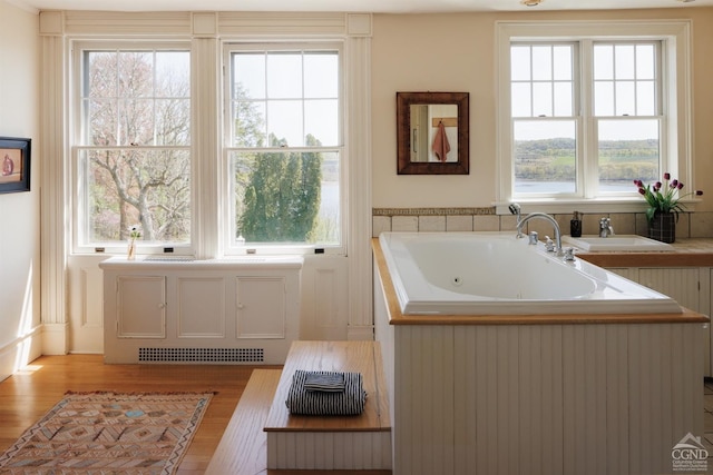 152 William St, Catskill, NY 12414 - bathroom with a tub with jets, wood finished floors, and a sink