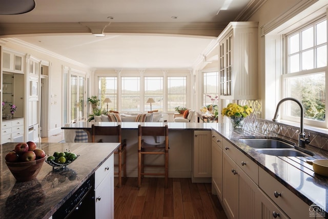 152 William St, Catskill, NY 12414 - kitchen featuring a sink, crown molding, dishwasher, dark wood-style floors, and healthy amount of natural light