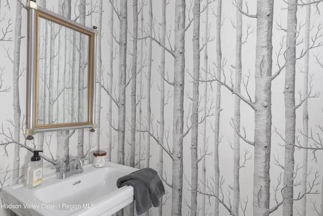 4170 Rte 9w, West Camp, NY 12477 - view of bathroom
