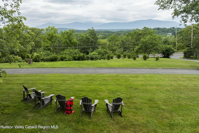 4170 Rte 9w, West Camp, NY 12477 - view of grassy yard with a mountain view and a view of trees