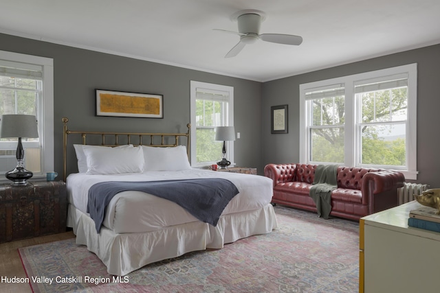 4170 Rte 9w, West Camp, NY 12477 - bedroom with ornamental molding, a ceiling fan, and radiator