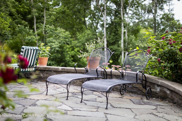4170 Rte 9w, West Camp, NY 12477 - view of patio with view of scattered trees