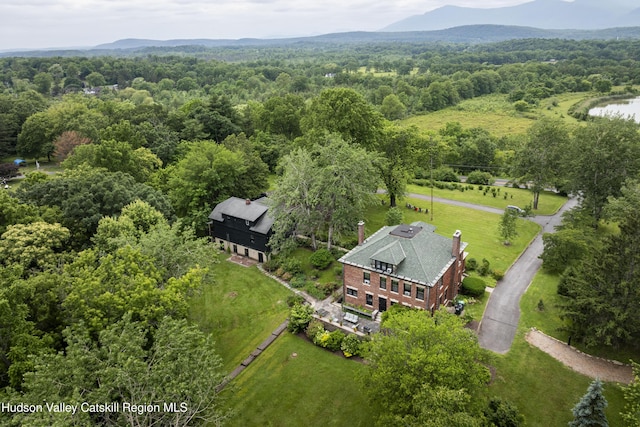4170 Rte 9w, West Camp, NY 12477 - aerial view of property and surrounding area with a heavily wooded area and mountains