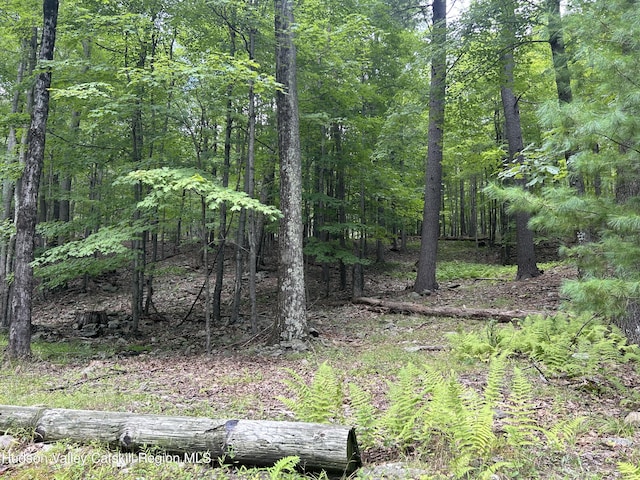 view of landscape