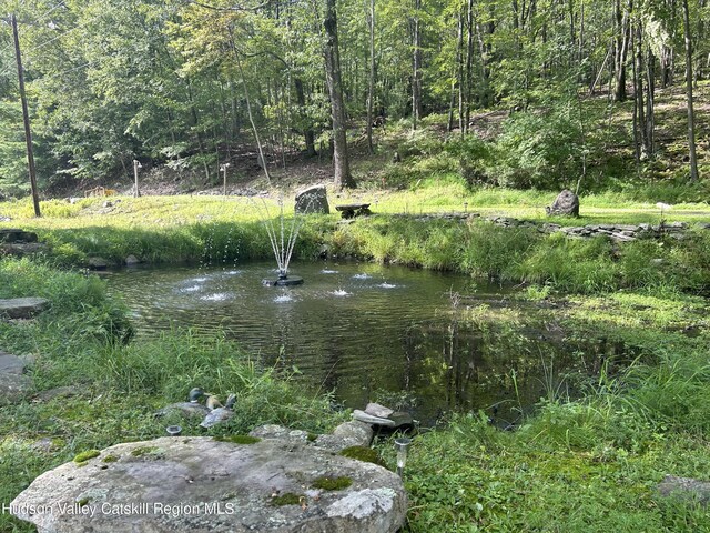 view of yard featuring a water view