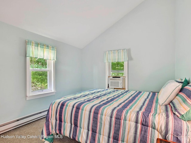 126 Hommelville Rd, Saugerties, NY 12477 - photo 13