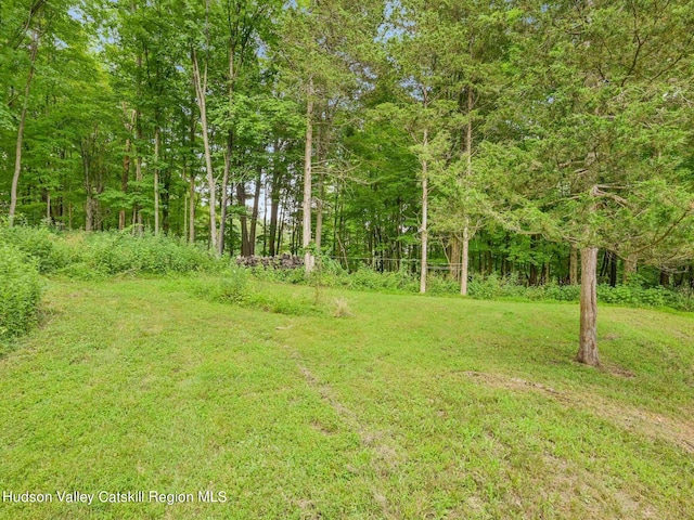 126 Hommelville Rd, Saugerties, NY 12477 - photo 20