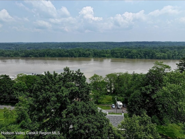 918 Ny-144, Hannacroix, NY 12087 - photo 5