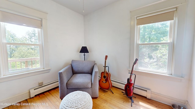 918 Ny-144, Hannacroix, NY 12087 - photo 16