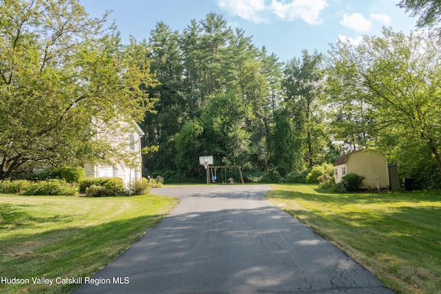 71 Duck Pond Rd, Stone Ridge, NY 12484 - photo 34